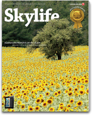Skylife